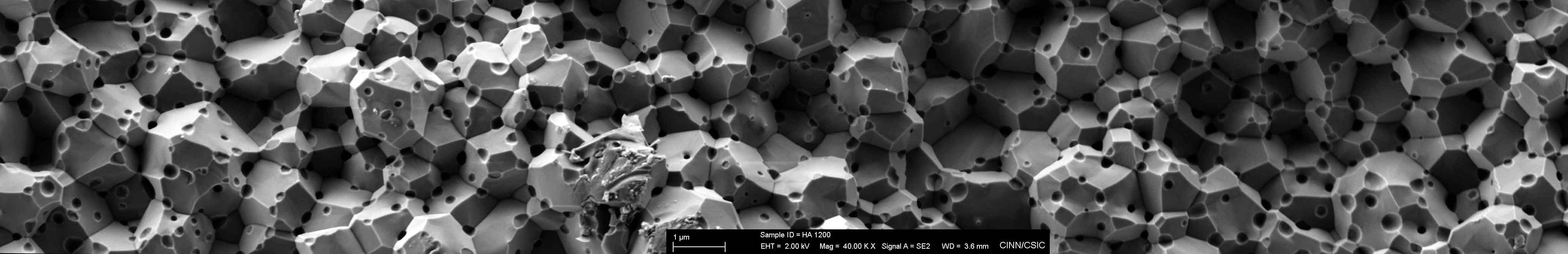 Fracture surface of a hydroxyapatite specimen sintered at 1200°C by Spark Plasma Sintering.