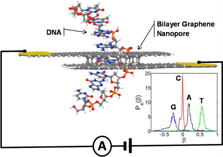 Schematics of a graphene-bilayer nanopore device designed for DNA sequencing. Each nucleobase gates the pore differently while translocating it. This gating modifies the current traversing the bilayer. We find that the gating effect is strong enough to enable the unambiguous identification of each nucleobase as shown in the inset.