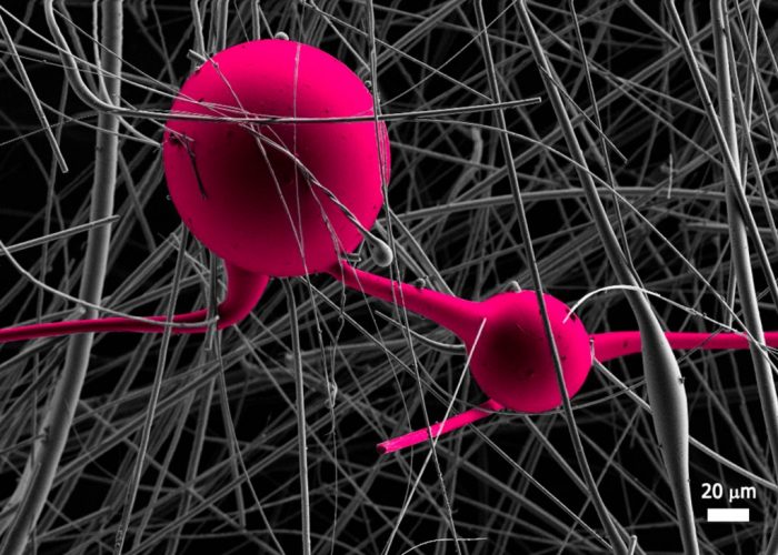 <h2>Síntesis y Caracterización Avanzada de Nanocomposites y Materiales Bioinspirados</h2>