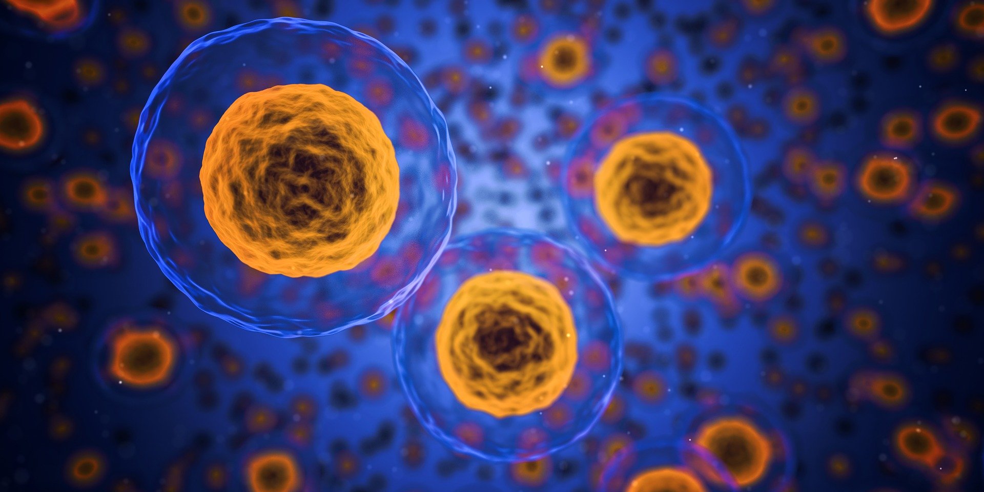 cells-1872666_1920 cells-1872666_1920