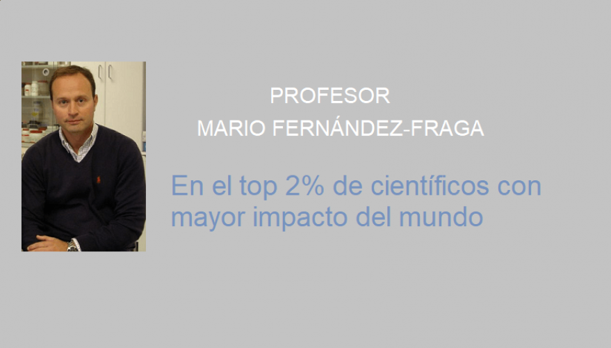 mffraga_web
