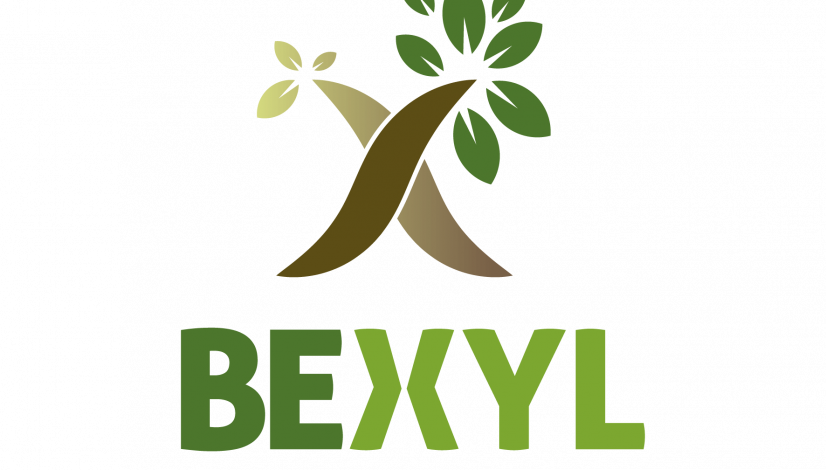 BeXyl Logo