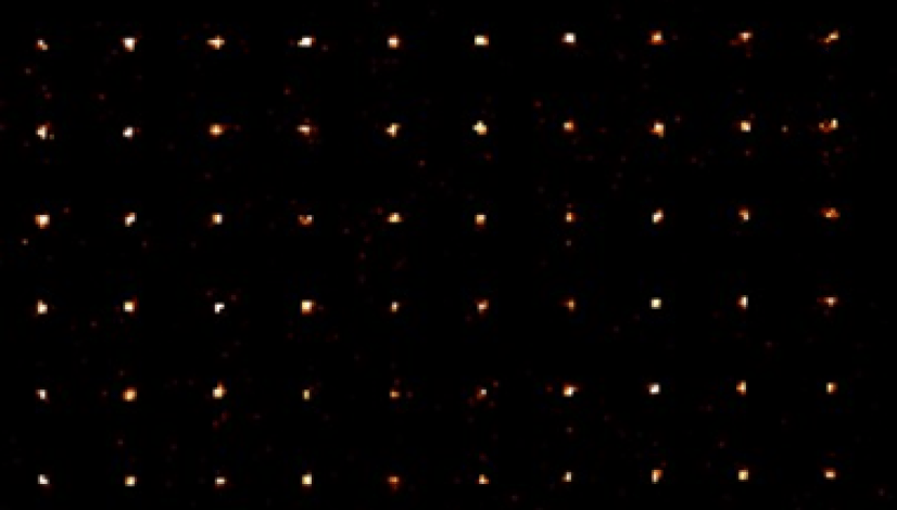 Fluorescencia de una matriz cuadrada de 100 átomos de rubidio individuales