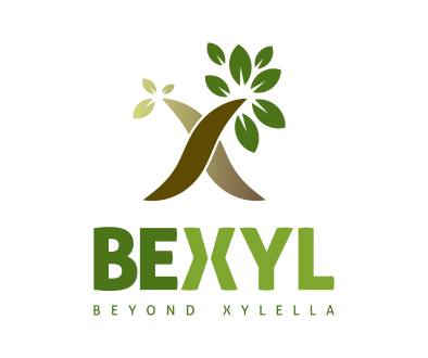 Bexyl