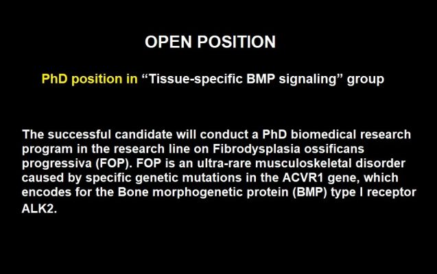 OPEN POSITION DUFFHUES LAB