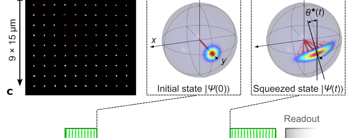Generation of spin-squeezed states in a dipolar Rydberg atom array