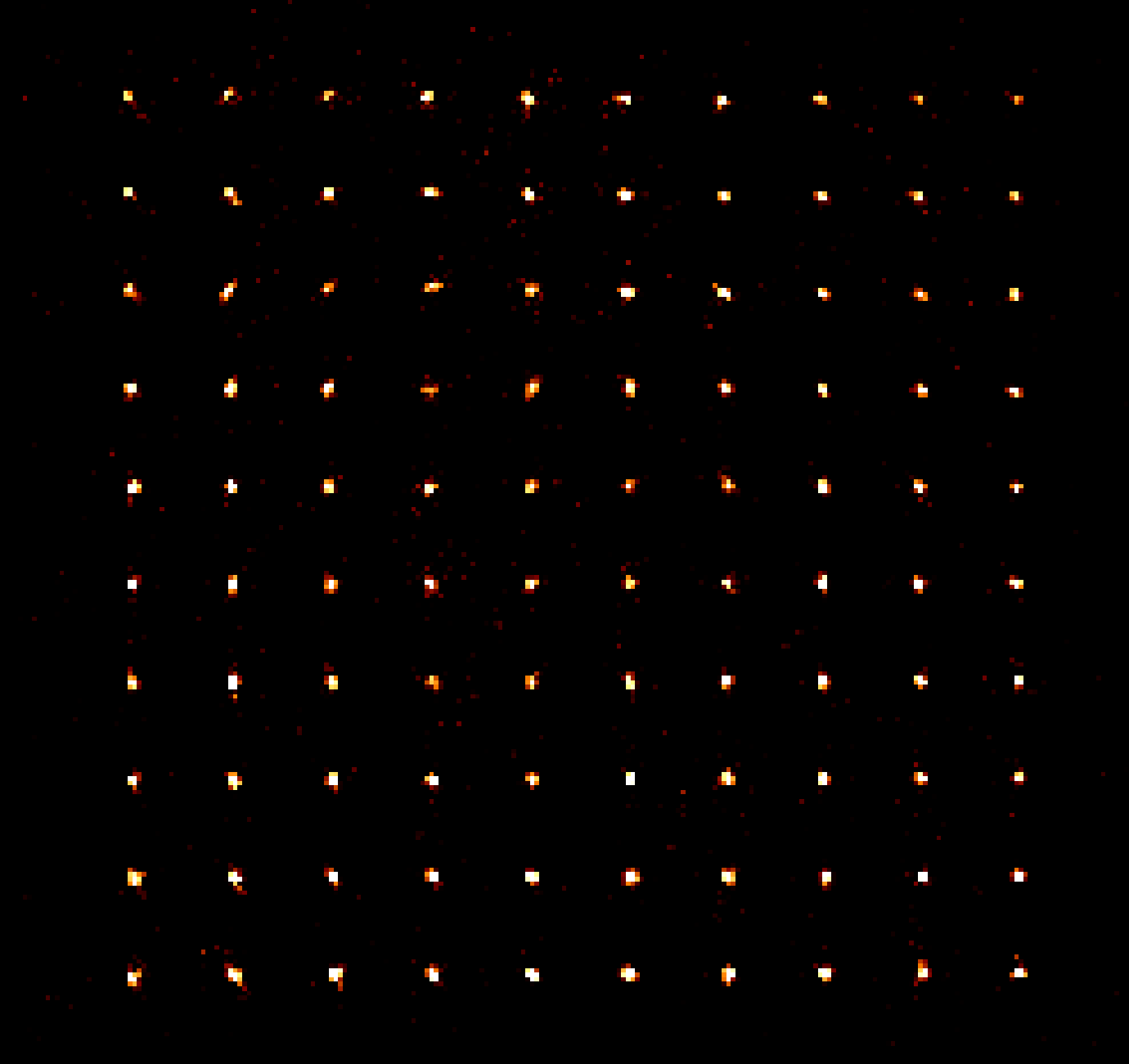 arquitectura subcelular neuronal con tomografía FIB/SEM