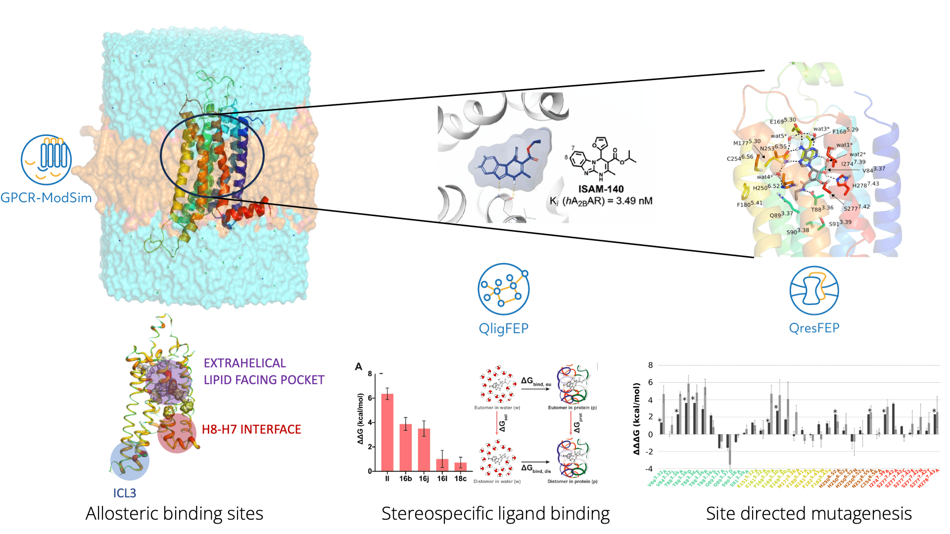 arquitectura subcelular neuronal con tomografía FIB/SEM