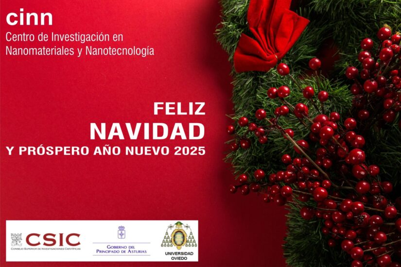 Navidad 2025-2 castellano