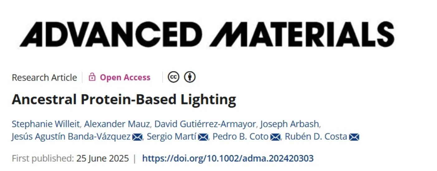 ADVANCED MATERIALS