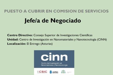 jefe negociado