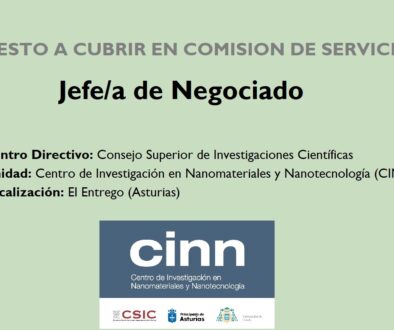 jefe negociado