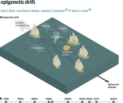 Epigenetic clocks (1)