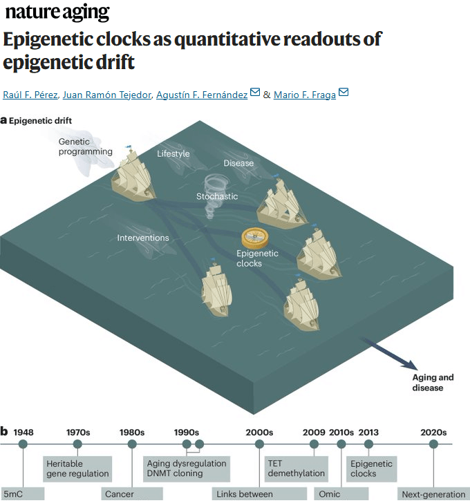 Epigenetic clocks (1)