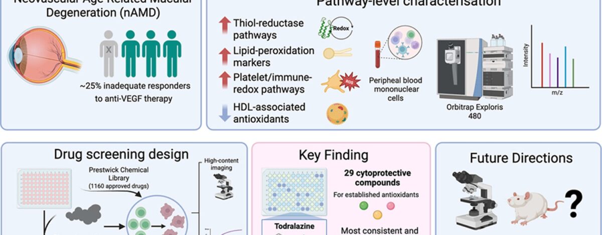 graphical abstract
